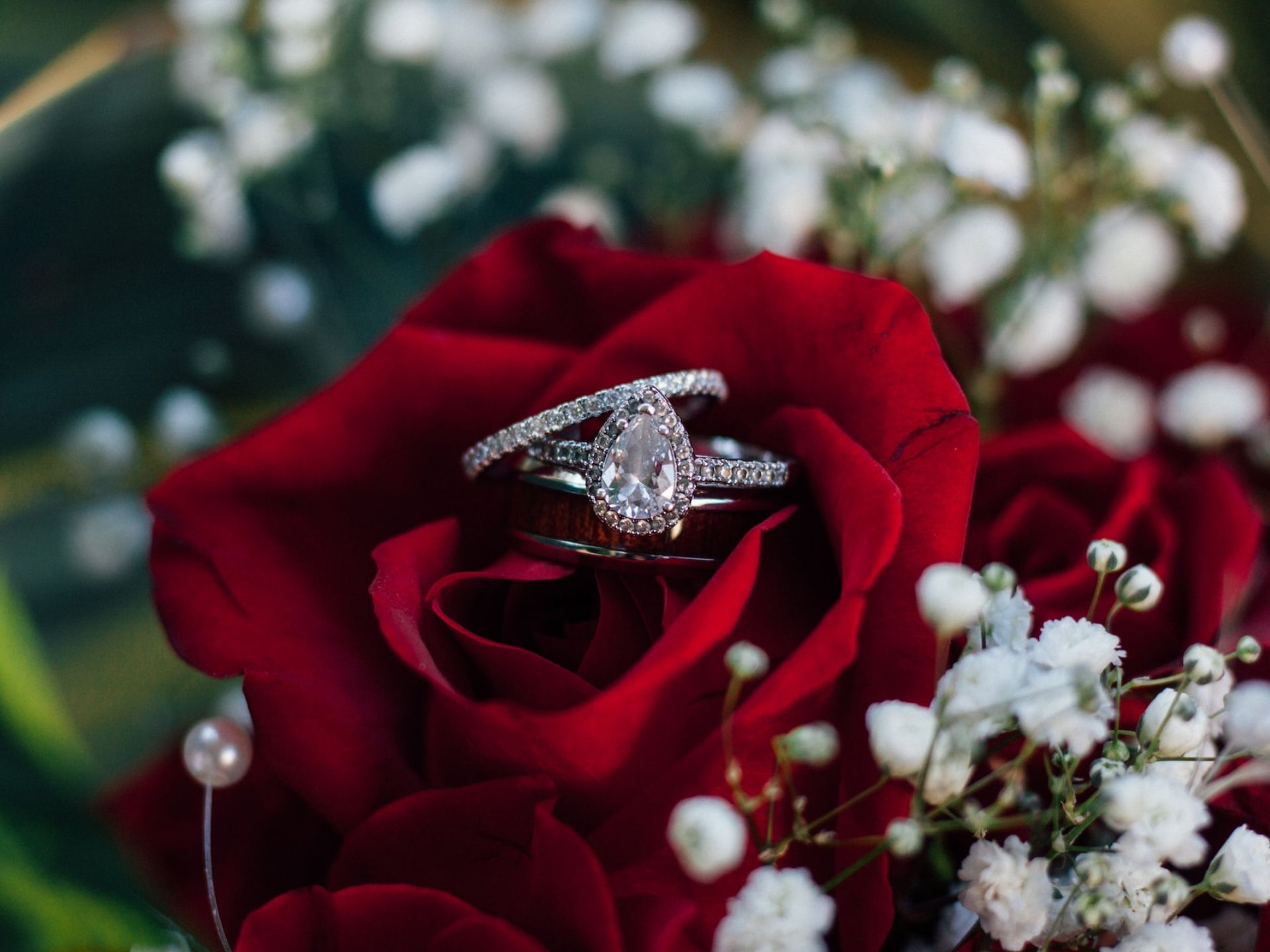 A red rose with an engagement ring on top.