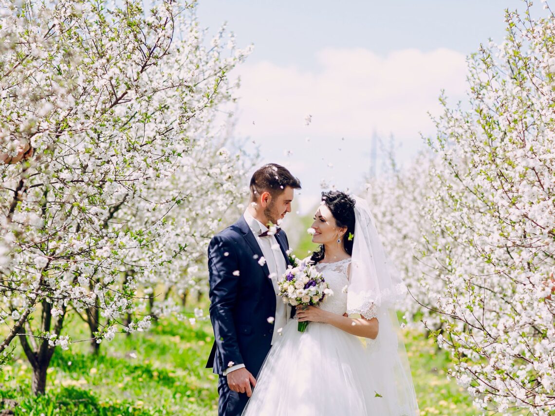 A bride and groom under cherry blossom trees at the spring wedding.