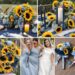 A photo collage of dusty blue, navy blue, and sunflower wedding color ideas.