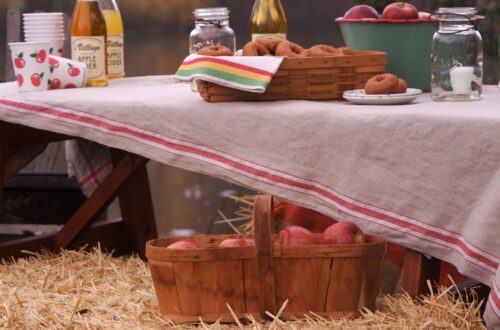 A picnic table with apples, apple donuts, and apple cider.