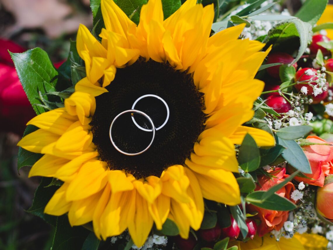 A sunflower bouquet with the wedding rings on top.