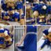 A photo collage of royal blue and gold wedding color ideas.