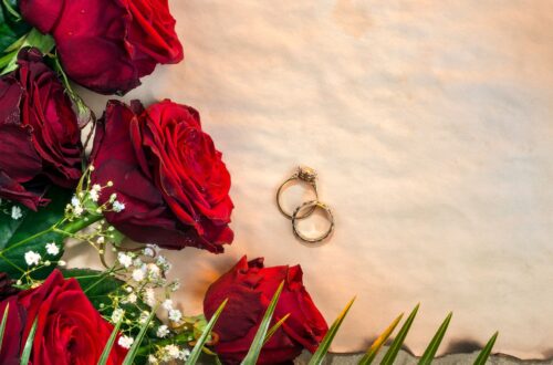 A table with red roses and gold wedding rings.